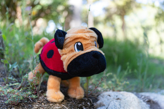 Nuttipetz "Ladypug" Plush Toy