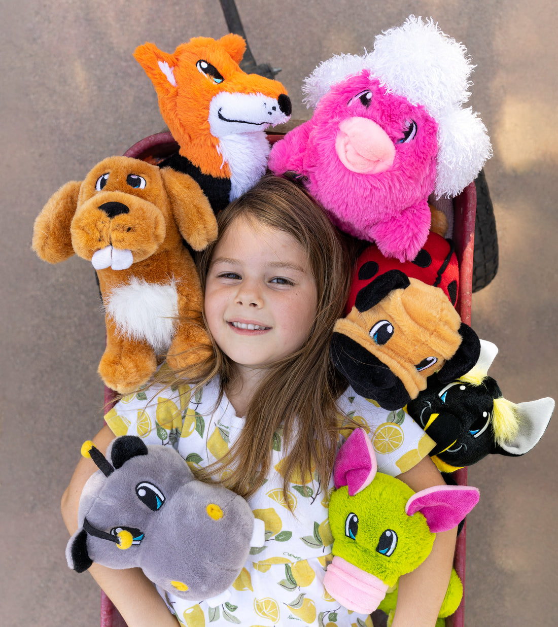 Best Hacks for Cleaning Plush Toys - Nuttipetz are Soft, Cuddly, Squishy and Adorable Plushies